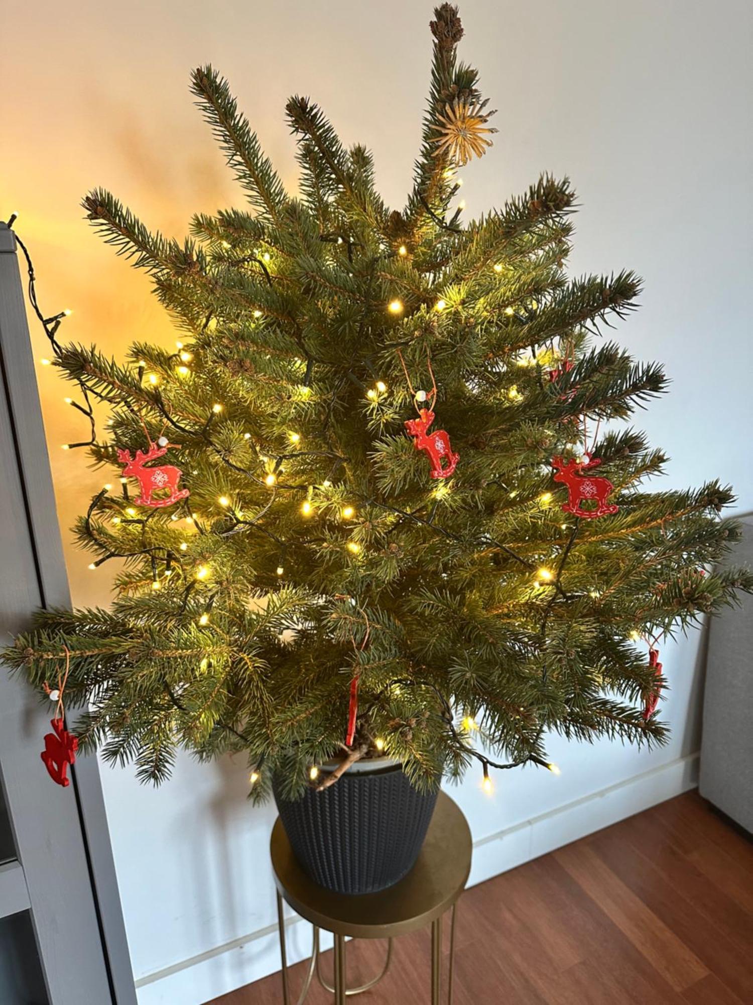 Apartament Sopot Bagian luar foto